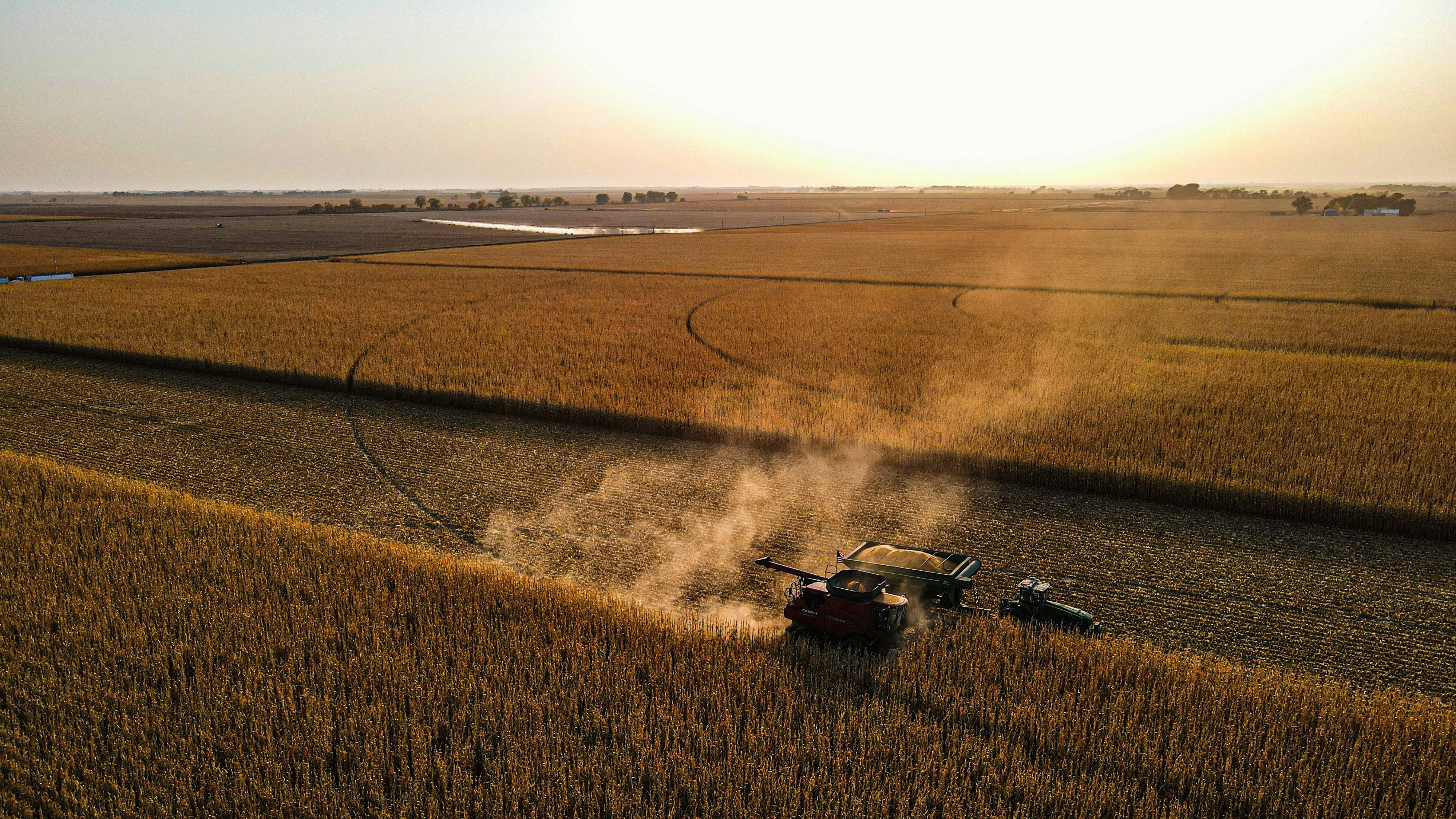 Harvest operations at golden hour